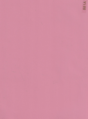 881A.jpg